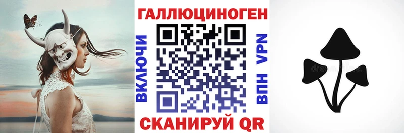 Псилоцибиновые грибы MAGIC MUSHROOMS  где купить наркотик  Сасово 